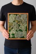 Панно из мха Цетрарии на стену