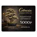 Подарочный сертификат 33 000