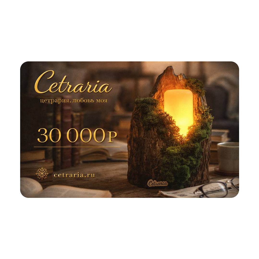 Подарочный сертификат 200 000